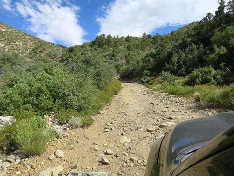 Cabin Canyon Road