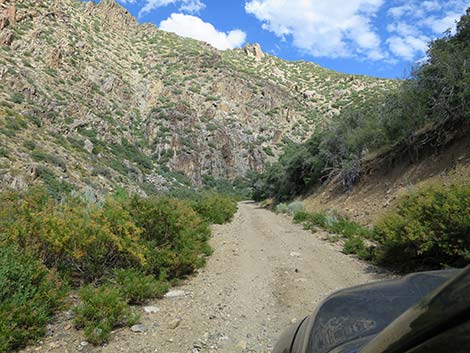 Cabin Canyon Road