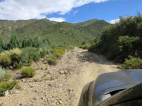 Cabin Canyon Road