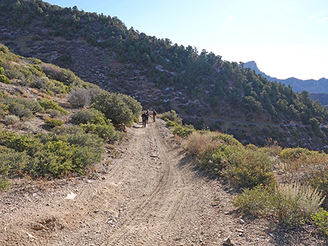 Upper Upper Nickel Canyon Road