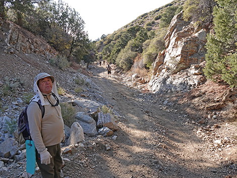 Upper Upper Nickel Canyon Road