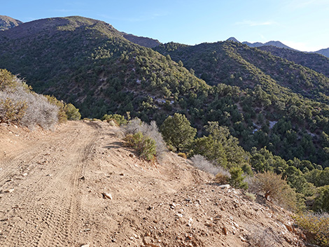 Upper Upper Nickel Canyon Road