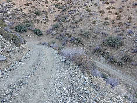 Upper Upper Nickel Canyon Road