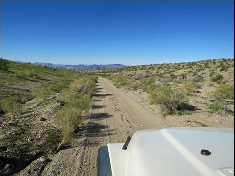 Catclaw Wash Road