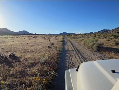 Cedar Basin Shortcut Road