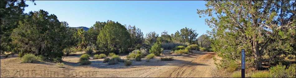 Cedar Basin Road