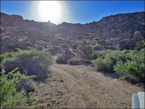 Cedar Basin Road