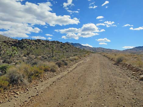 Devils Cove Road