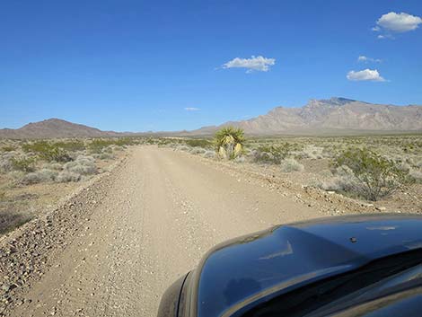 Fisherman Cove Road