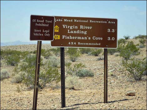 Virgin River Landing Road