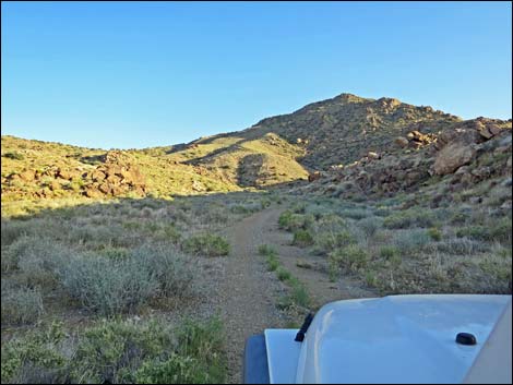 Gold Butte Peak Road