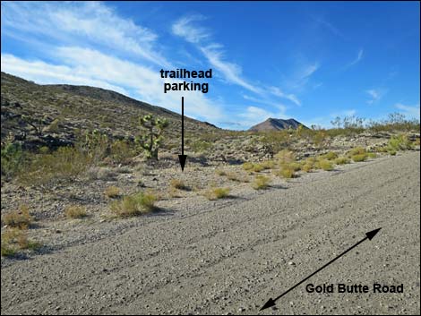 Gold Butte Road