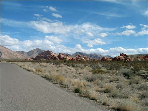 Gold Butte Road