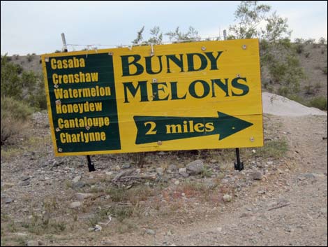 Gold Butte Road