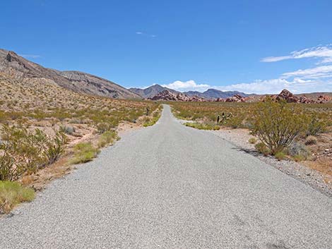 Gold Butte Road