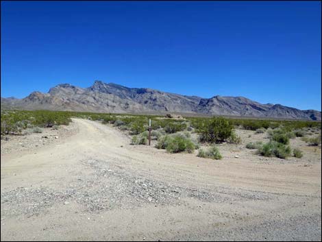 Gold Butte Road