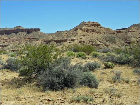 Gold Butte Road