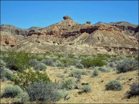 Gold Butte Road