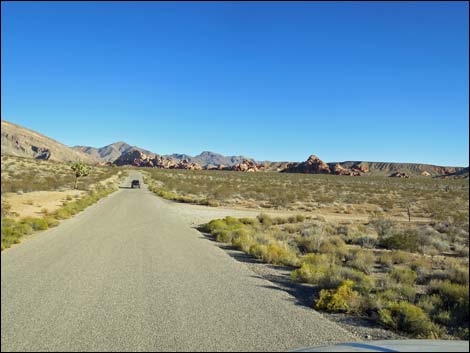 Gold Butte Road