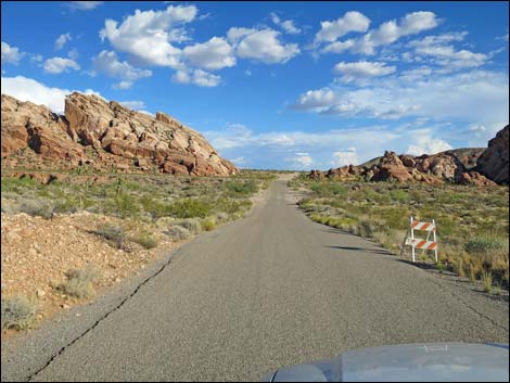 Gold Butte Road