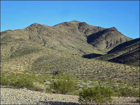 Gold Butte Road