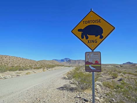 gold butte road