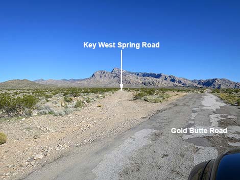 gold butte road