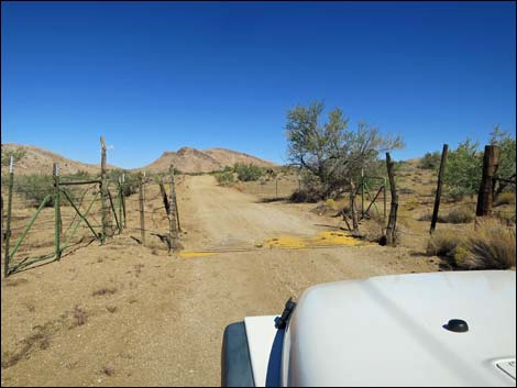 Gold Butte Road