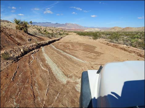 Gold Butte Road