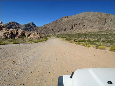 Gold Butte Road