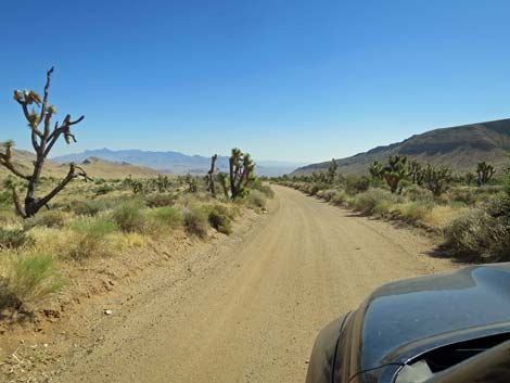 Gold Butte Road