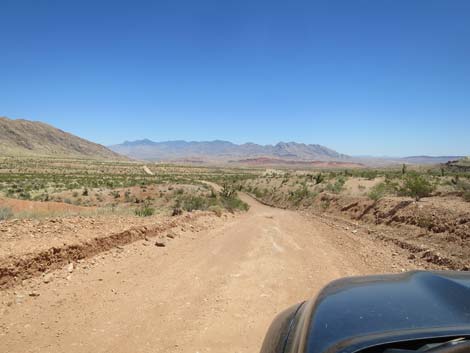 Gold Butte Road