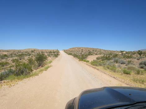 Gold Butte Road