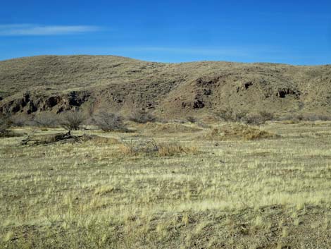 Gold Butte Road