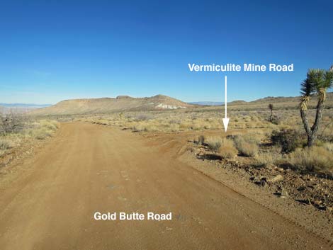 Gold Butte Road