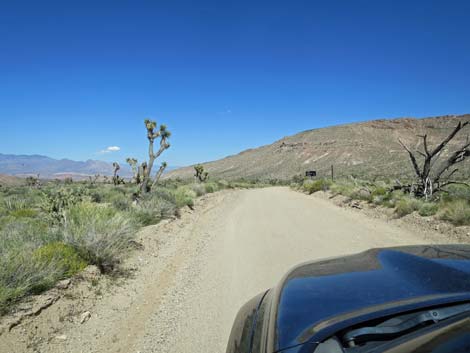 Gold Butte Road