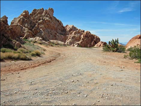 Gold Butte Road