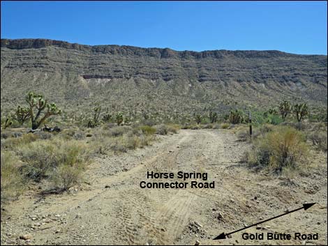 Gold Butte Road