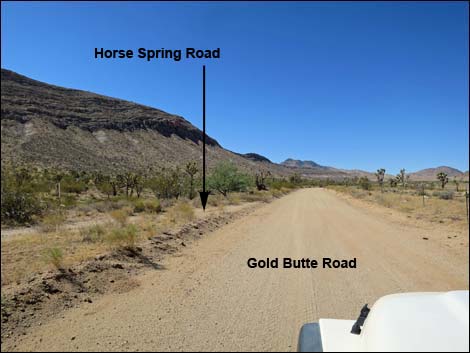 Gold Butte Road