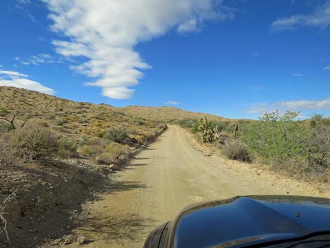 Gold Butte Road