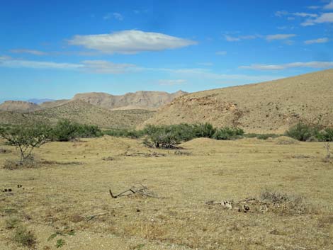 Gold Butte Road