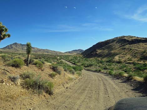 Gold Butte Road