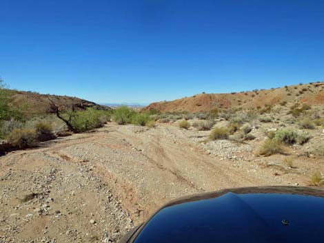 Gold Butte Wash Road