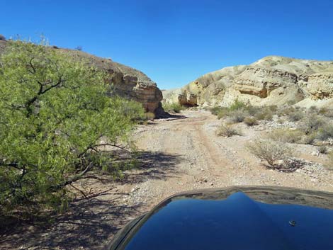 Gold Butte Wash Road