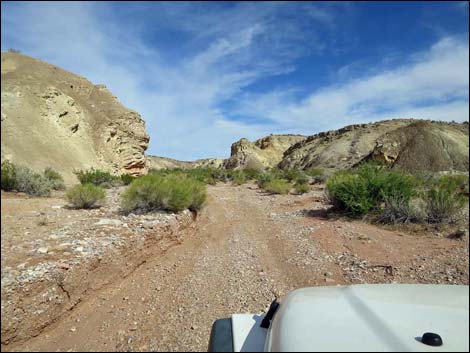 Gold Butte Wash Road