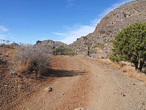 Hen Spring Canyon Road