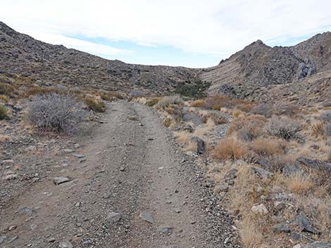 Hen Spring Canyon Road