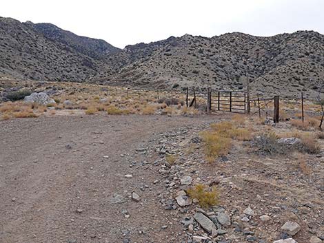 Hen Spring Canyon Road