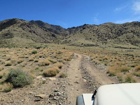 Hen Spring Canyon Road