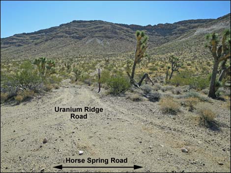 Horse Spring Road